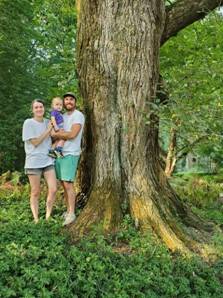 BT-3868 Diagnault American Elm 1 - 1