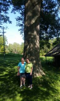 J:\ZBig Tree Information\Carroll County\Nominations\Photos\BT-3889 Estate of Geneva Brown Pecan 3.png