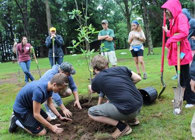 Planting3 2016