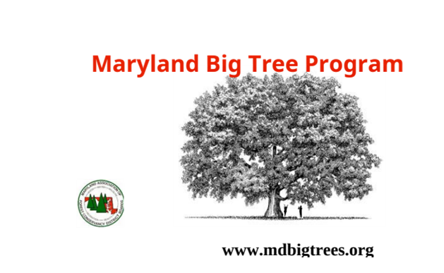 A picture containing text

Description automatically generated