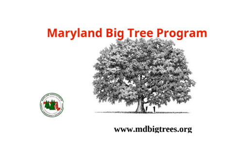 A picture containing text

Description automatically generated